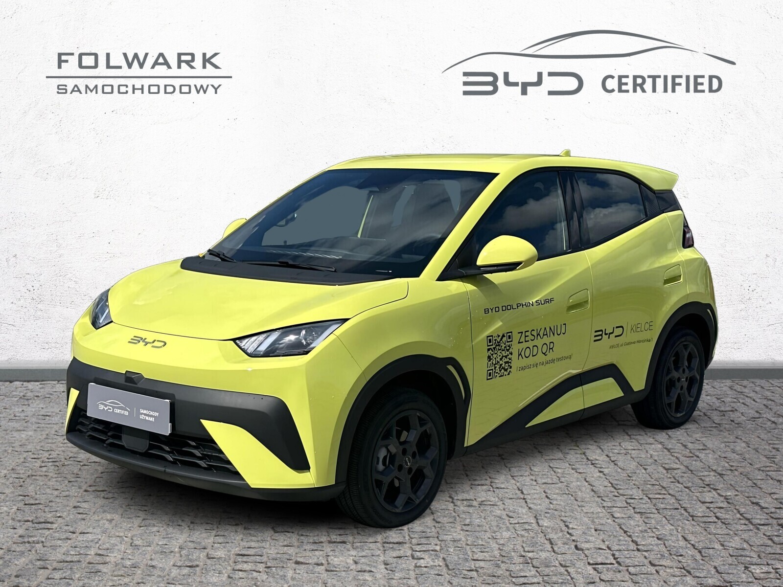 BYD Dolphin Surf