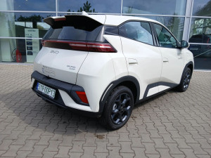 Miniaturka zdjęcia