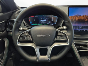 Miniaturka zdjęcia
